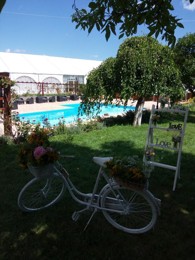 Casa Danielescu Hotel Targu Jiu Ngoại thất bức ảnh