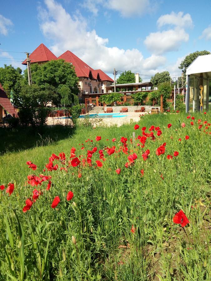 Casa Danielescu Hotel Targu Jiu Ngoại thất bức ảnh